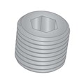 PP-0062E31-SSPL